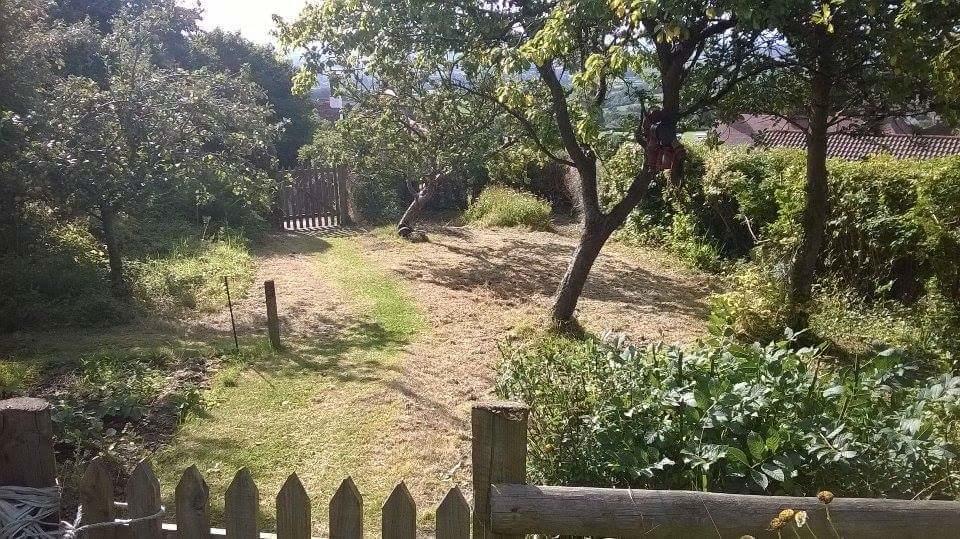 Moonfleat Villa West Quantoxhead Eksteriør billede